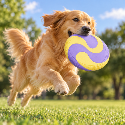 Orbit Bounce Textured Flying Disc Dog Toy
