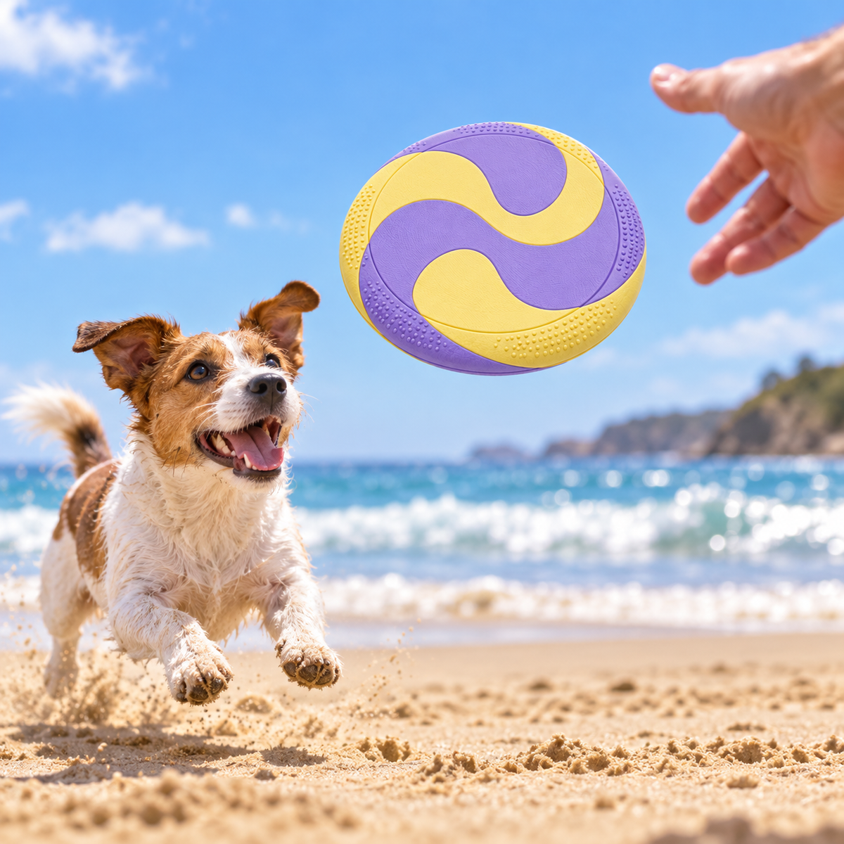 Orbit Bounce Textured Flying Disc Dog Toy